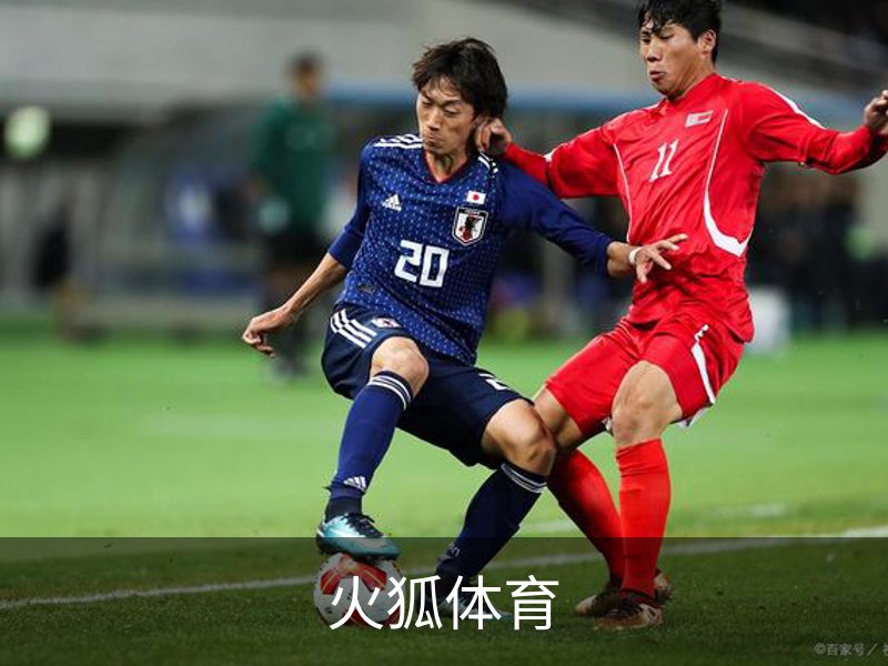 火狐体育概况